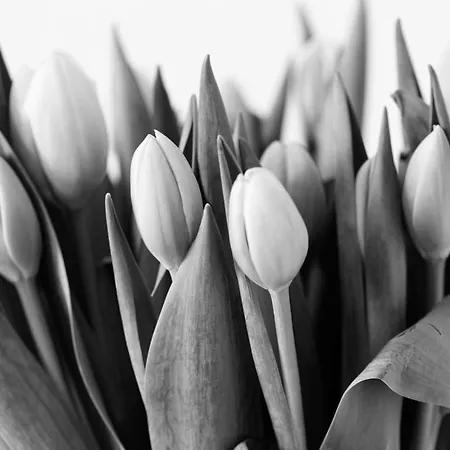 Am Pavillon Bed & Kitchen Берн