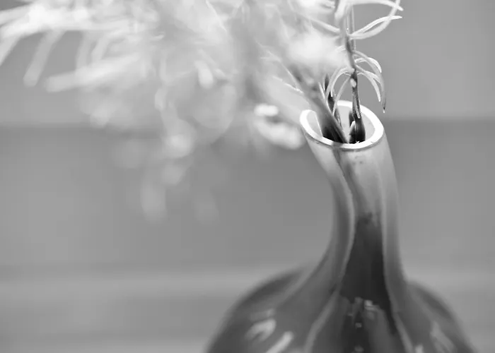 לינה וארוחת בוקר Am Pavillon Bed & Kitchen 3*